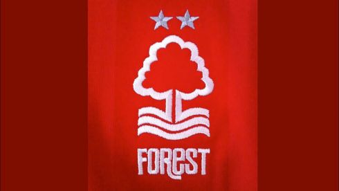 169453_sport-photosota-club-p-futbolnii-klub-nottingem-forest-21.jpg (13. Kb)