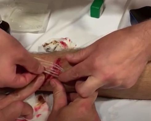 4261_si.jpg (19. Kb)