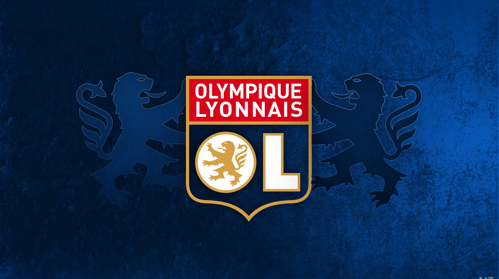 9d4ca43be8b14e2f1541421410f8f6_1_9b60c89c.jpeg (502.12 Kb)