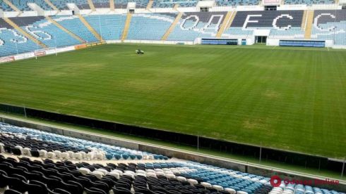 gazon-2-e1536669745989.jpg (33.24 Kb)